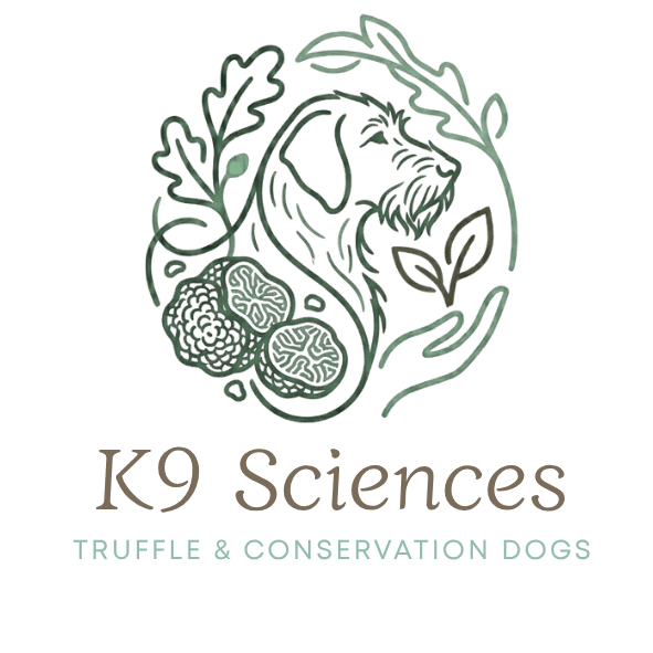 K9 Science-2