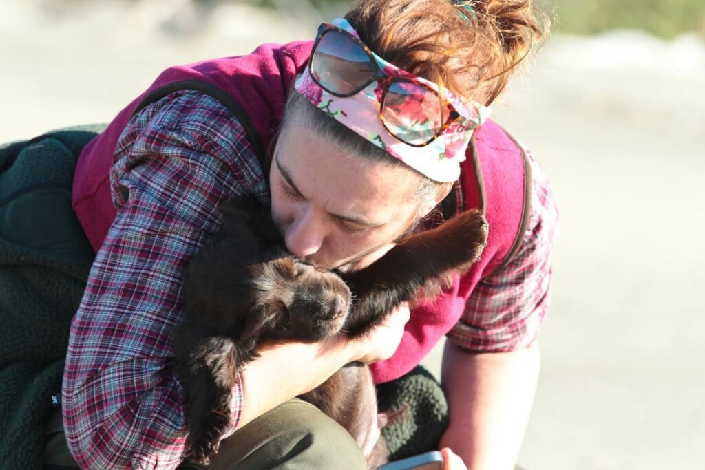 The Human-Canine Bond: Why Working Together Enhances Your Relationship 2 puppy-gundog-training