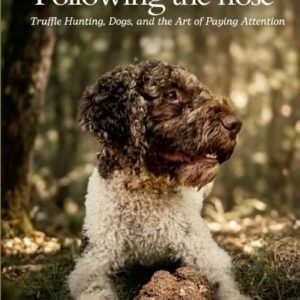 Following the nose